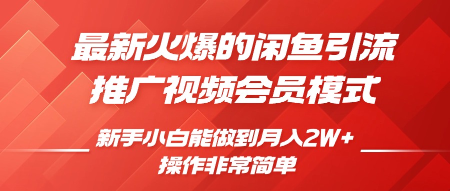 最新火爆的闲鱼引流推广视频会员，新手小白能做到月入2W+-小哥找项目网创