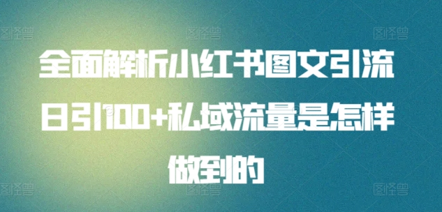 暴力引流 小红书图文引流日引100私域全面拆解【打粉人必看】-小哥找项目网创