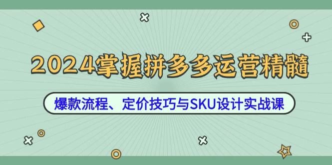 2024掌握拼多多运营精髓：爆款流程、定价技巧与SKU设计实战课-小哥找项目网创