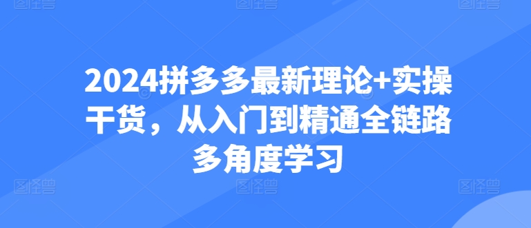 2024拼多多最新理论+实操干货，从入门到精通全链路多角度学习-小哥找项目网创