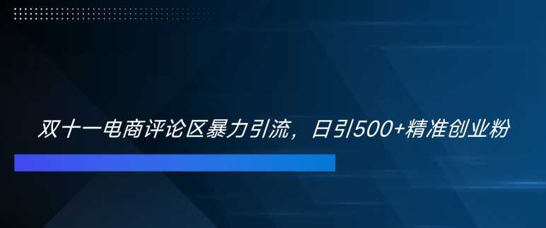 双十一电商评论区暴力引流，日引500+精准创业粉【揭秘】-小哥找项目网创