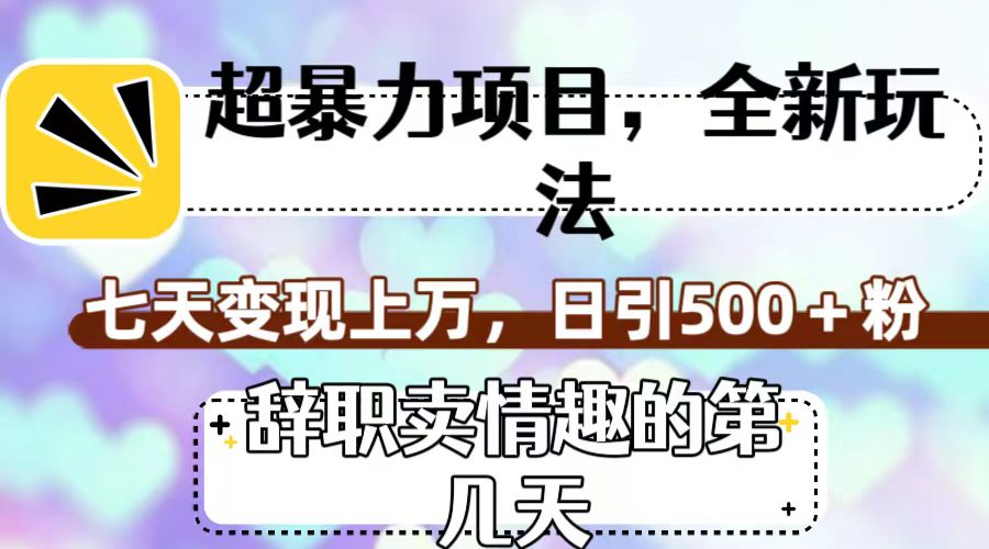 超暴利项目，全新玩法（辞职卖情趣的第几天），七天变现上万，日引500+粉-小哥找项目网创