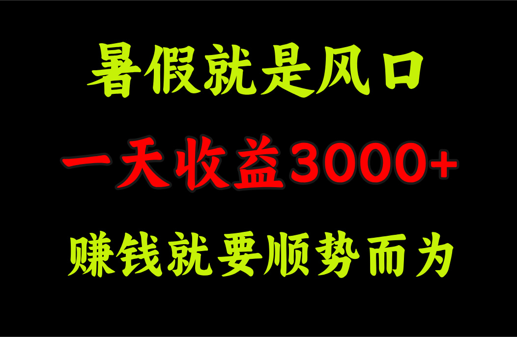 一天收益3000+ 赚钱就是顺势而为，暑假就是风口-小哥找项目网创