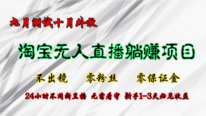 （12862期）淘宝无人直播最新玩法，九月测试十月外放，不出镜零粉丝零保证金，24小…-小哥找项目网创