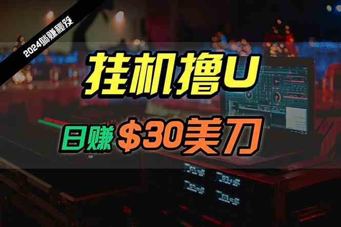 （10013期）日赚30美刀，2024最新海外挂机撸U内部项目，全程无人值守，可批量放大-小哥找项目网创