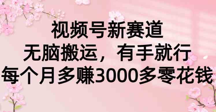 （9277期）视频号新赛道，无脑搬运，有手就行，每个月多赚3000多零花钱-小哥找项目网创