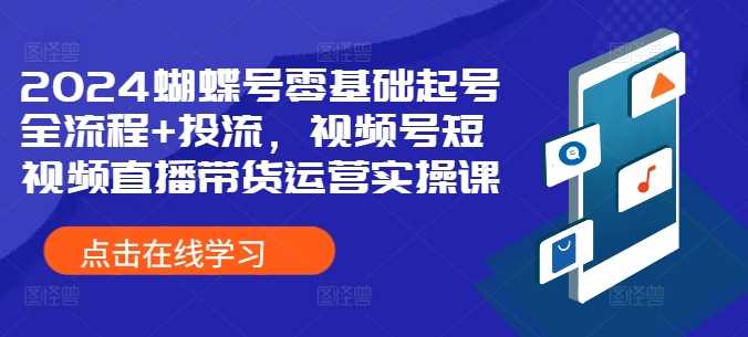 2024蝴蝶号零基础起号全流程+投流，视频号短视频直播带货运营实操课-小哥找项目网创