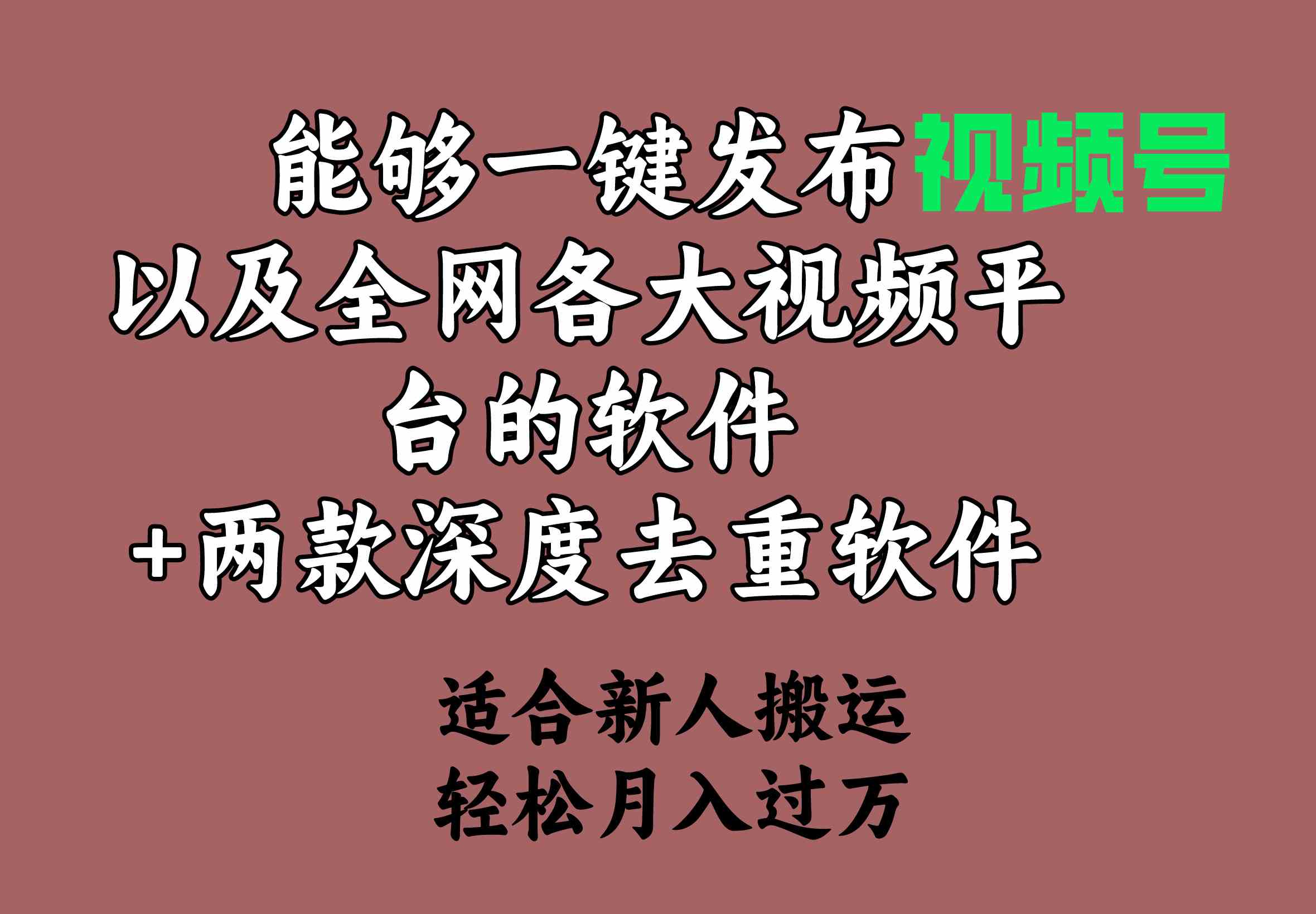 （9319期）能够一键发布视频号以及全网各大视频平台的软件+两款深度去重软件 适合…-小哥找项目网创