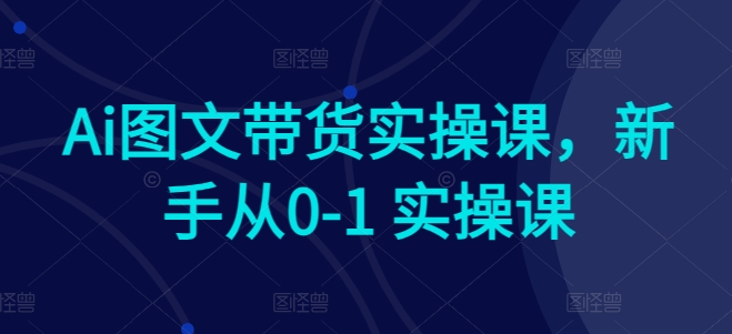 Ai图文带货实操课，新手从0-1 实操课-小哥找项目网创