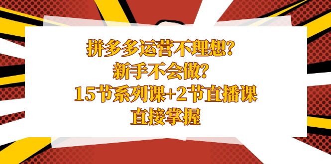 拼多多运营不理想？新手不会做？15节系列课+2节直播课，直接掌握-小哥找项目网创