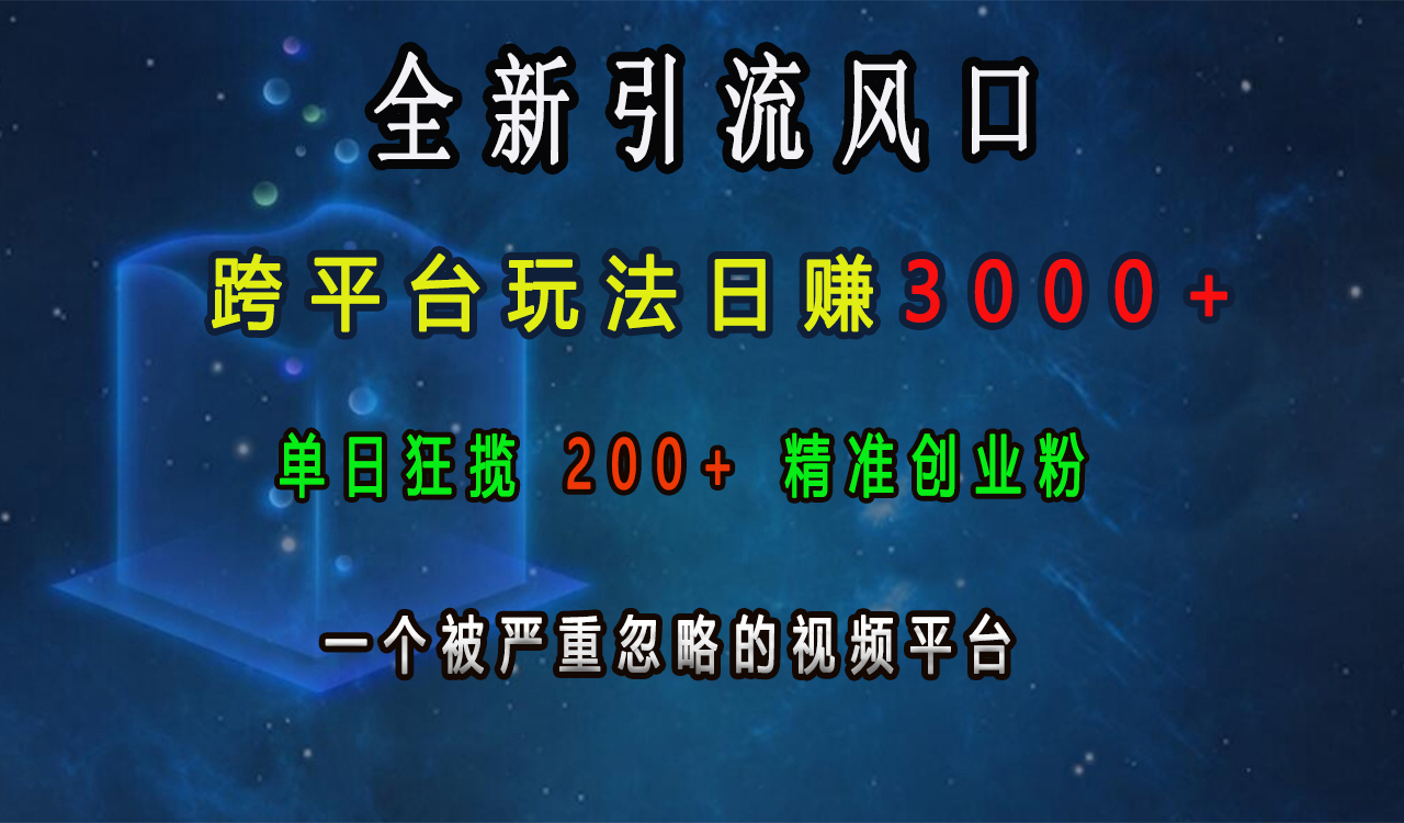 全新引流风口，跨平台玩法日赚3000+，单日狂揽200+精准创业粉，一个被严重忽略的视频平台-小哥找项目网创