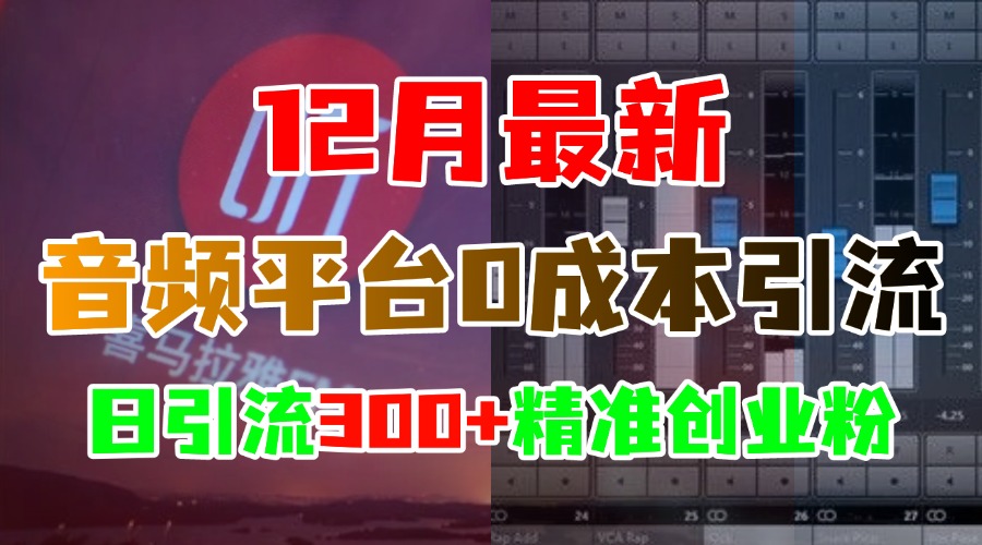 12月最新：音频平台0成本引流，日引300+精准创业粉-小哥找项目网创