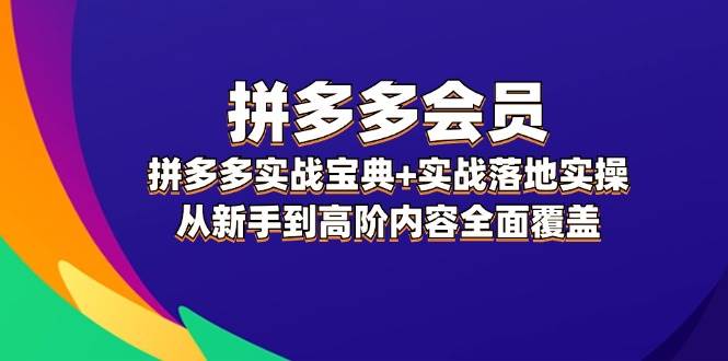 拼多多 会员，拼多多实战宝典+实战落地实操，从新手到高阶内容全面覆盖-小哥找项目网创