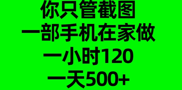 你只管截图，一部手机在家做，一小时120，一天500+-小哥找项目网创