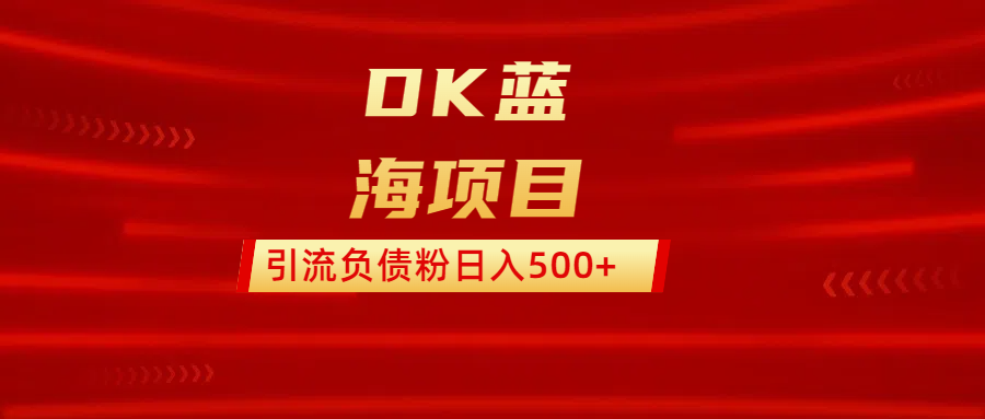 DK蓝海项目  通过，抖音，快手，小红书，引流负债粉日入500+-小哥找项目网创